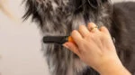Pettine districante per cani con denti ricurvi in acciaio inox – Wahl Dematter - immagine 2