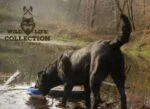 Peluche per cani in morbido pile con corda per tirare e squeaker – Wild Life Collection Wild Life Dog Eend - immagine 5