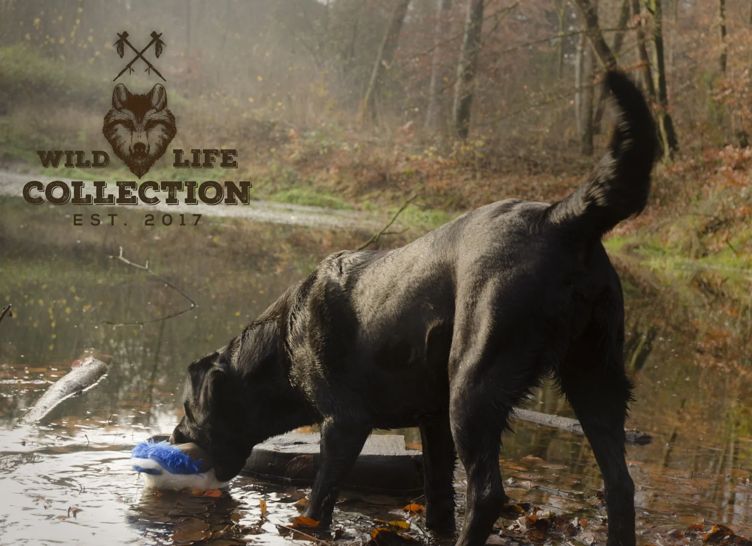 Peluche per cani in morbido pile con corda per tirare e squeaker – Wild Life Collection Wild Life Dog Eend - immagine 5