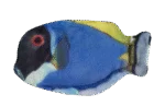 Pesce giocattolo per gatti con erba gatta – Wild Life Collection Cat Pesce chirurgo blu - immagine 2