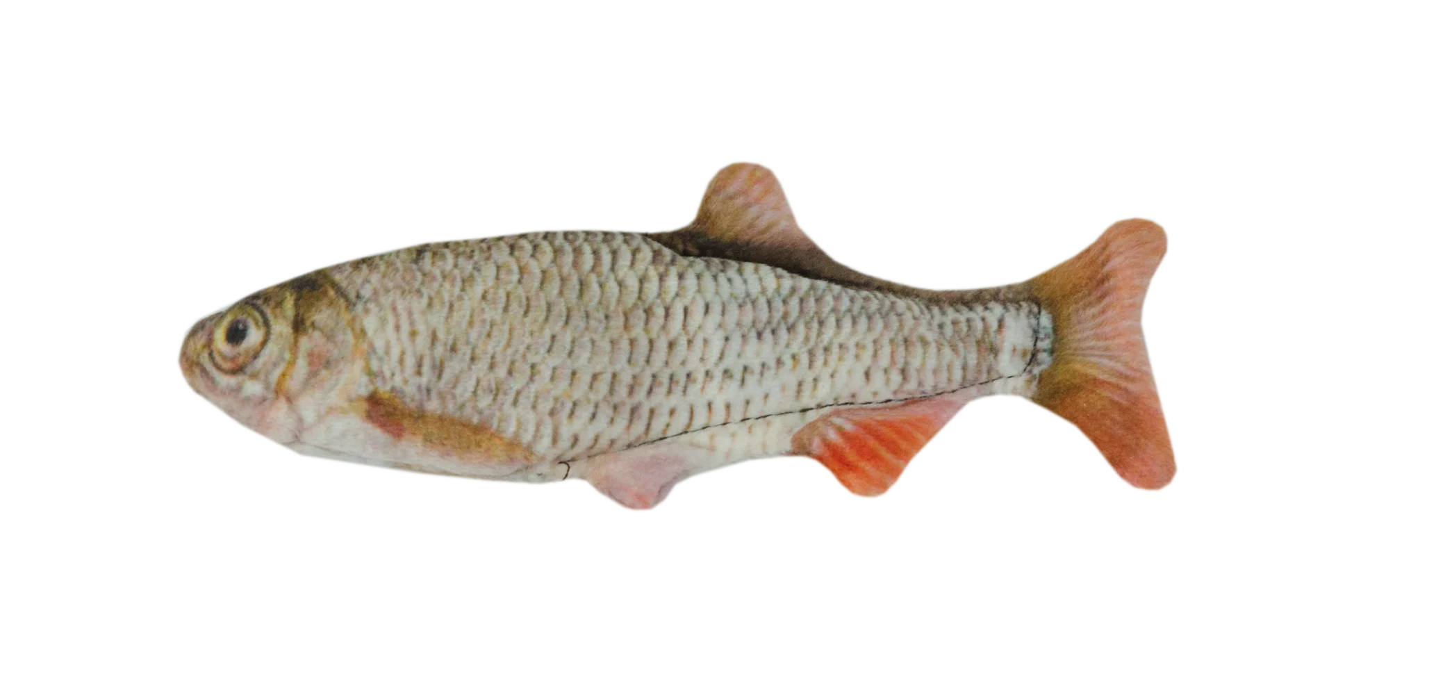 Pesce giocattolo per gatti, scarafaggio con erba gatta – Wild Life Collection Cat Scarafaggio - immagine 2