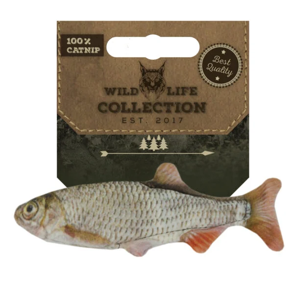 Pesce giocattolo per gatti, scarafaggio con erba gatta – Wild Life Collection Cat Scarafaggio