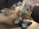 Farfalla gioco per gatti con erba gatta – Wild Life Collection Cat Farfalla blu - immagine 3
