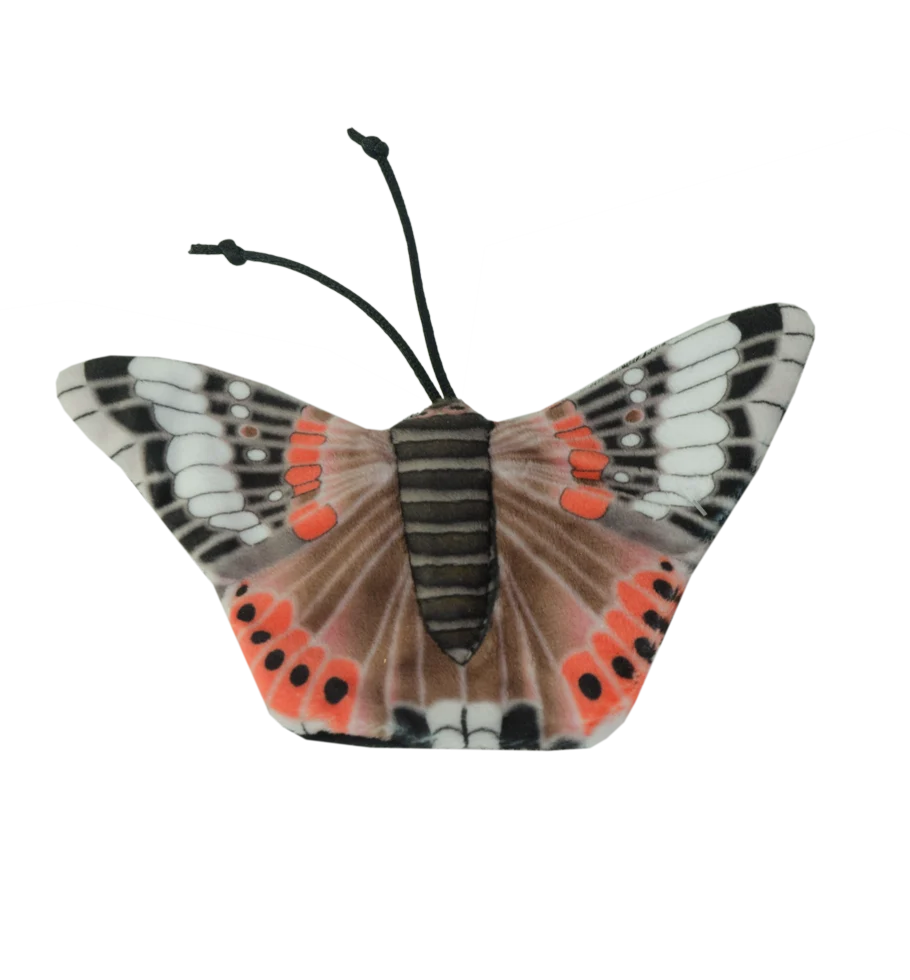 Farfalla gioco per gatti con erba gatta – Wild Life Collection Cat Farfalla Atalanta - immagine 2