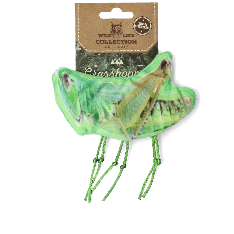 Gioco per gatti a forma di cavalletta con erba gatta – Wild Life Collection Cat Sprinkhaan - immagine 1