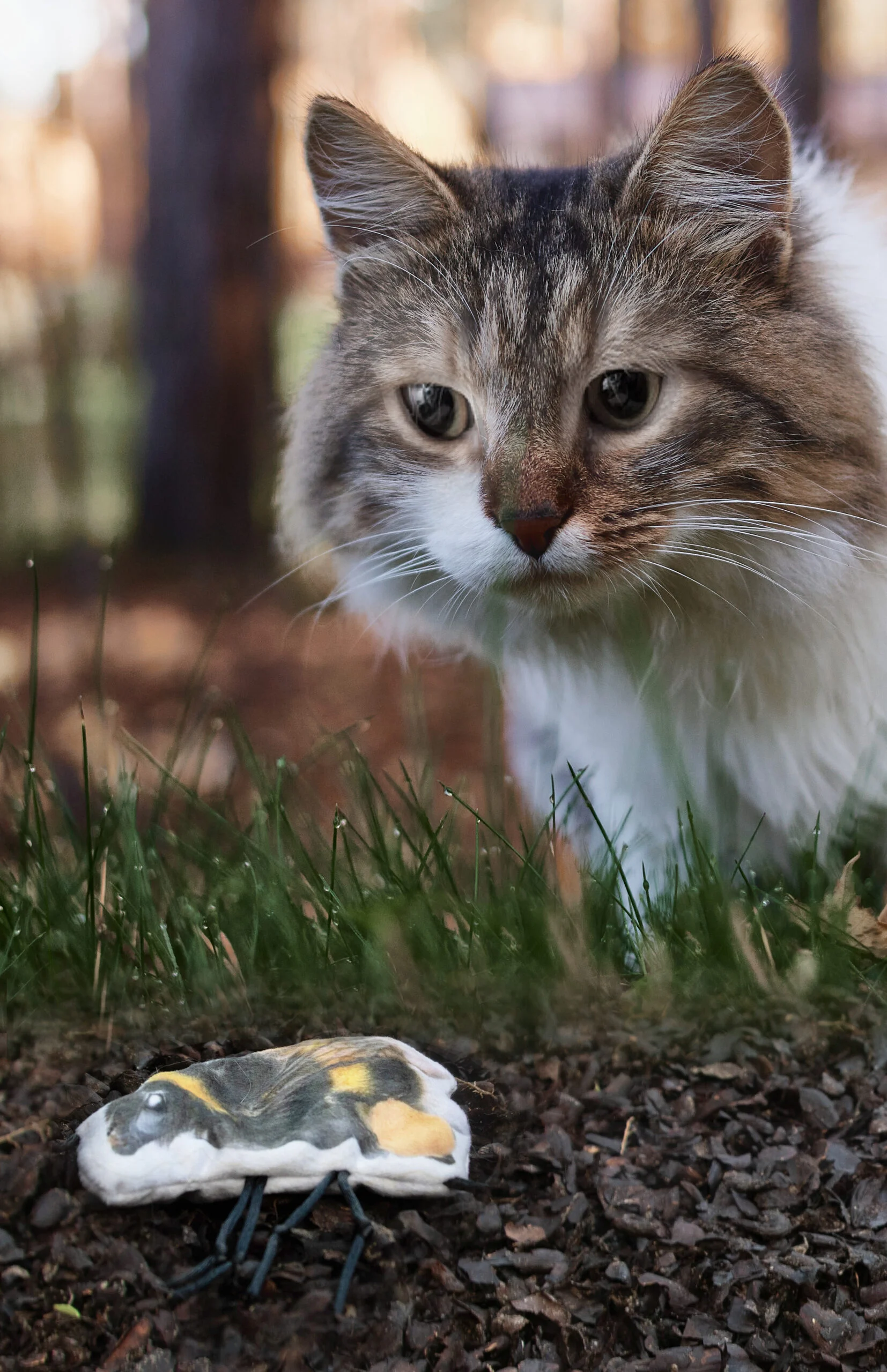 Gioco per gatti a forma di bombo con erba gatta – Wild Life Collection Cat Bombo - immagine 3