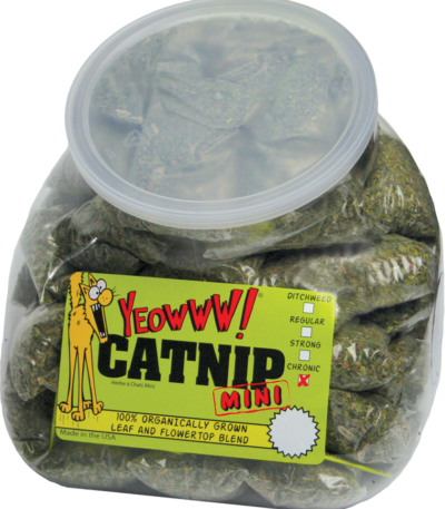 Bustine di erba gatta, 50 x 4 g – Yeowww! Minis