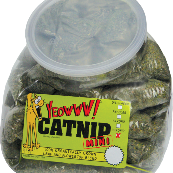 Bustine di erba gatta, 50 x 4 g – Yeowww! Minis