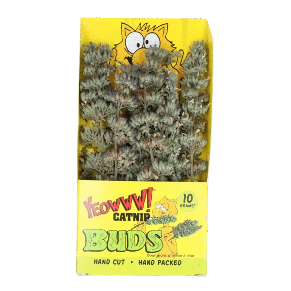 Rametti di erba gatta 10 g in bustina richiudibile – Yeowww! Catnip Buds
