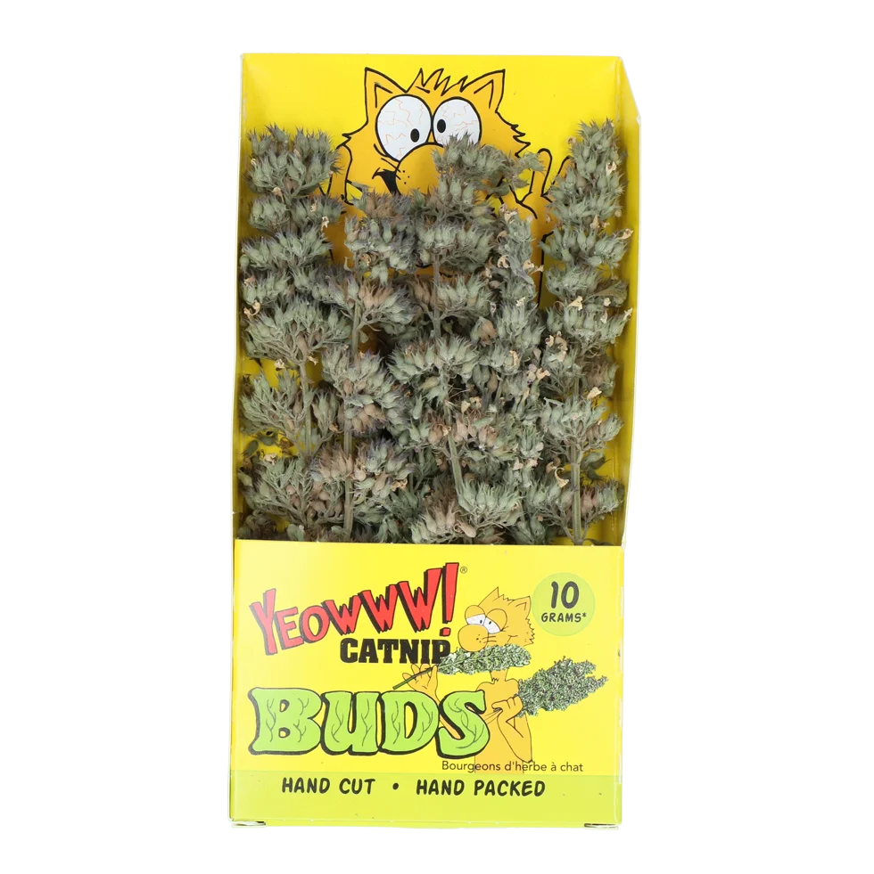 Rametti di erba gatta 10 g in bustina richiudibile – Yeowww! Catnip Buds - immagine 1