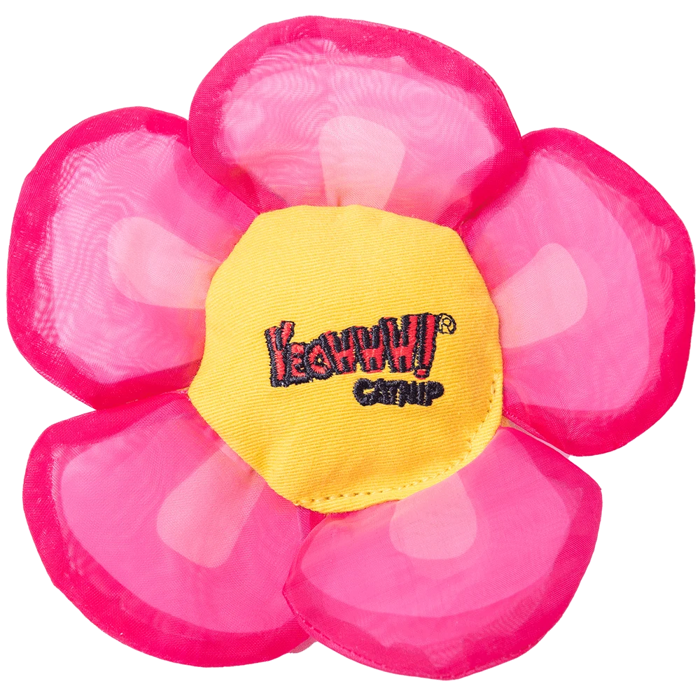 Fiore gioco per gatti con erba gatta e petali fruscianti, rosa – Yeowww! Daisy's Flower Tops - immagine 1