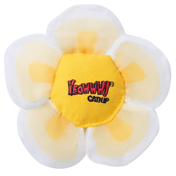 Fiore gioco per gatti con erba gatta e petali fruscianti, bianco – Yeowww! Daisy's Flower Tops