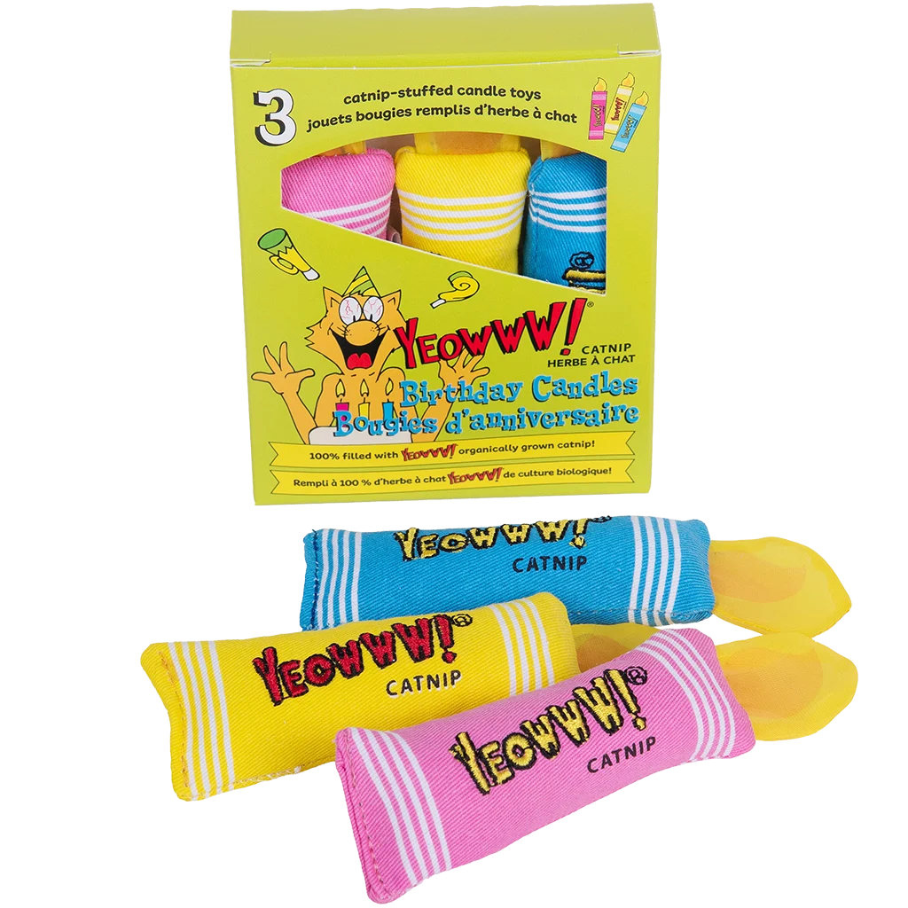 Giocattoli per gatti, candeline di compleanno con erba gatta, 3 pezzi – Yeowww! Birthday Candles - immagine 1