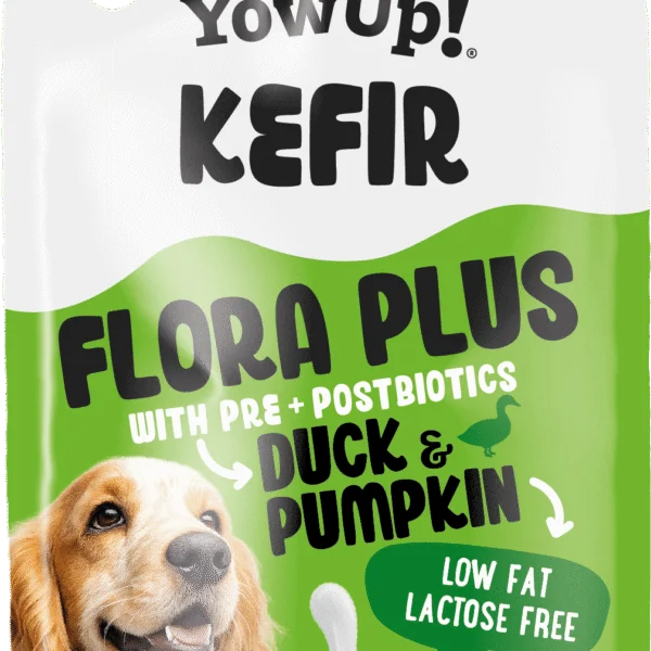 Snack al kefir per cani con anatra e zucca – YowUp! Kefir