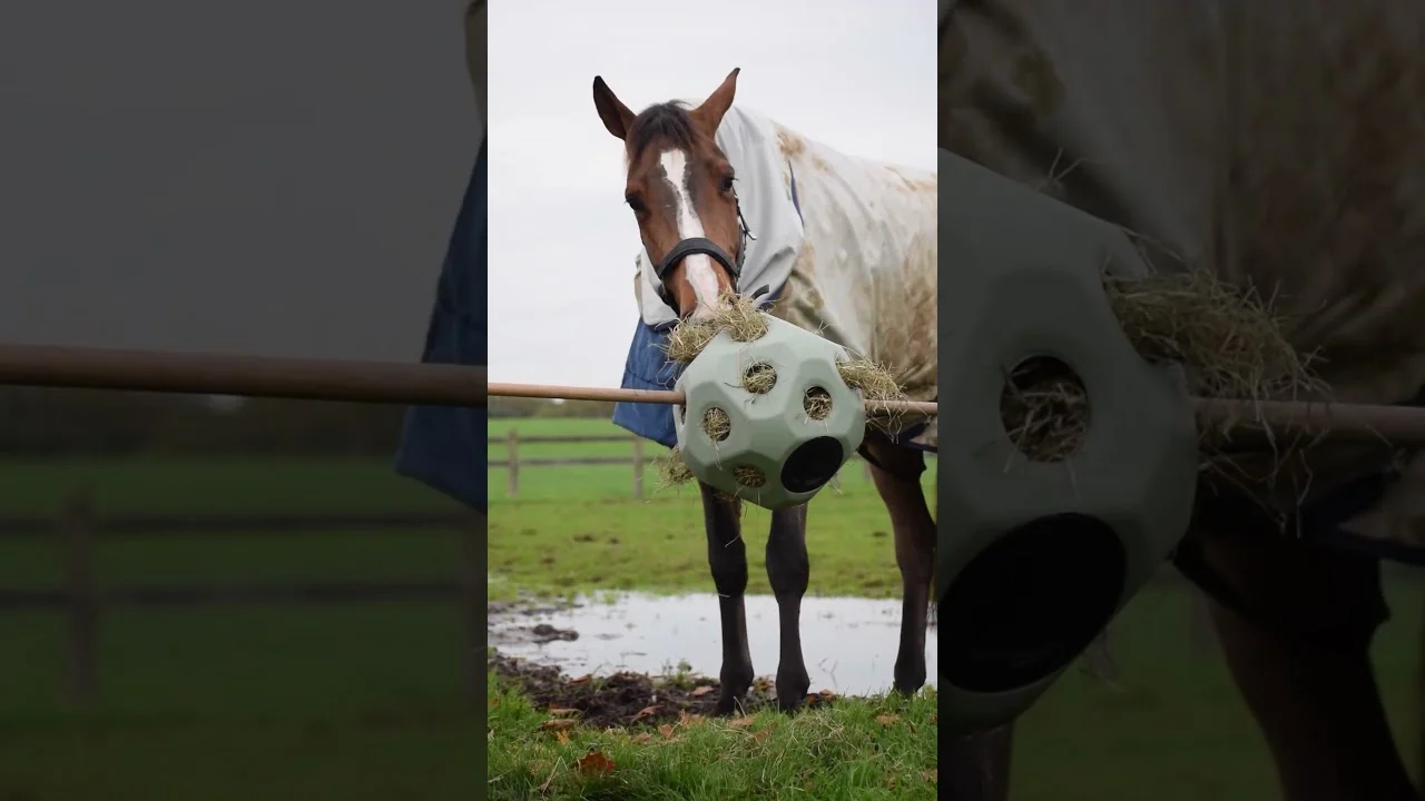 Palla per l’alimentazione dei cavalli con aperture per il mangime, nera – Excellent Horse Feed & Play Ball - immagine 3