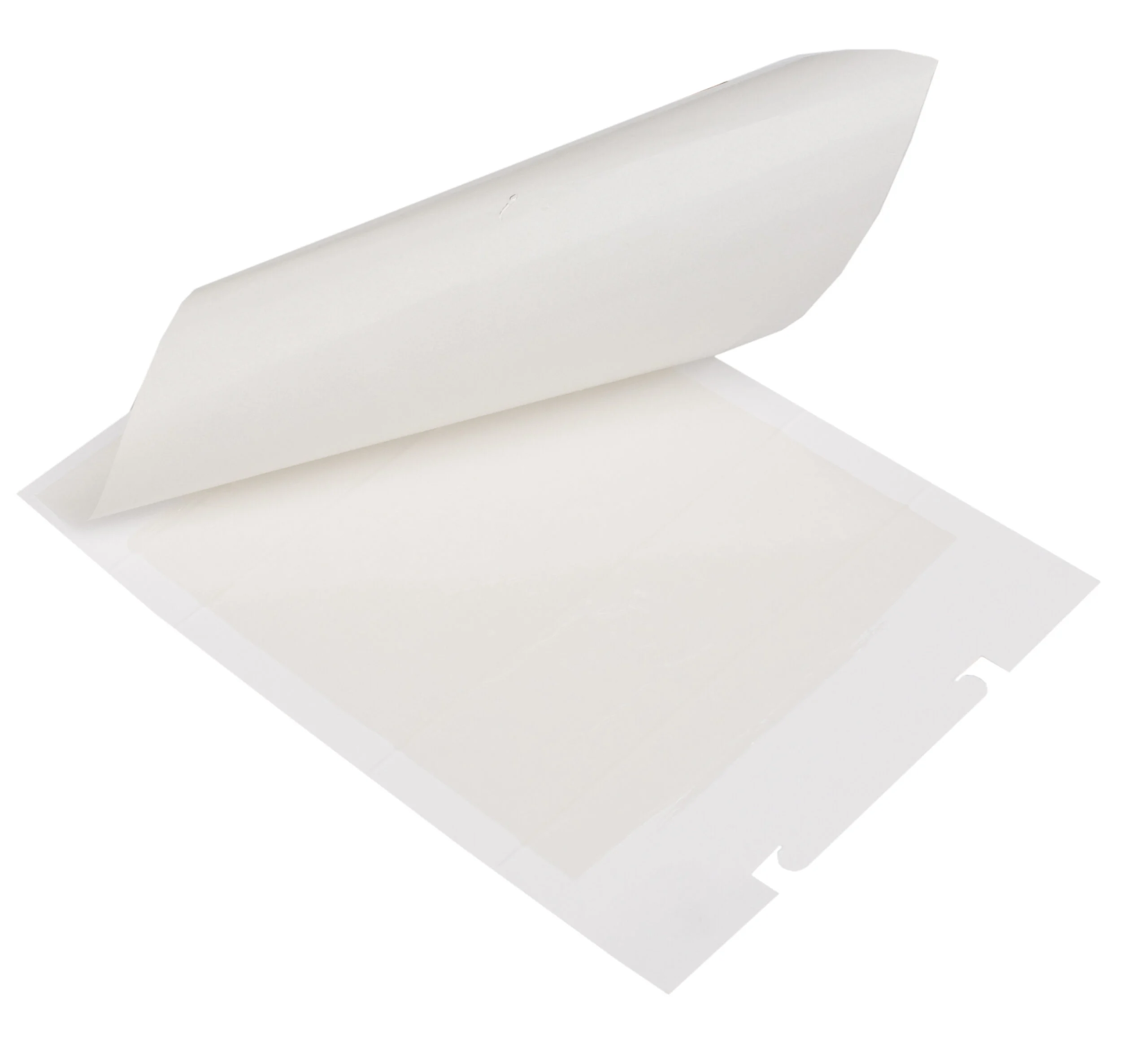 Trappola collante per topi e insetti striscianti, 15 x 21 cm, 3 pezzi – Zapi Zap Trap - immagine 2