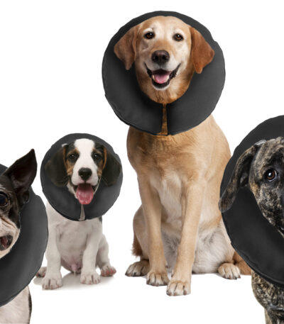 Collare protettivo per cani S, lavabile, da 15,2 a 22,9 cm – Zenpet ProCollar