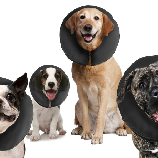 Collare protettivo per cani XL, lavabile, da 40,6 a 55,9 cm – Zenpet ProCollar