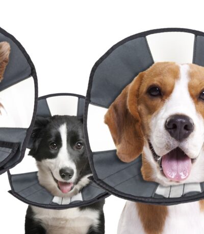 Collare protettivo lavabile, da 20,3 a 30,5 cm – Zenpet Procone S