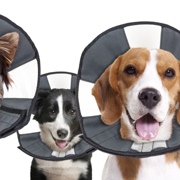 Collare protettivo lavabile, da 20,3 a 30,5 cm – Zenpet Procone S