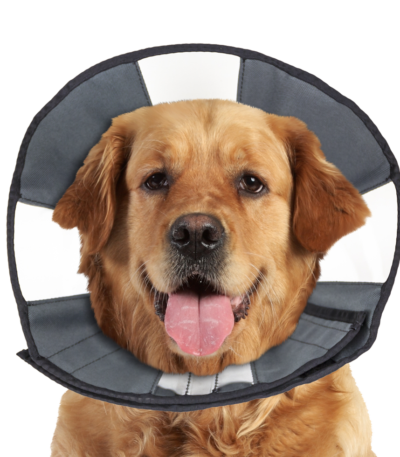 Collare protettivo lavabile, da 45,7 a 58,4 cm – Zenpet Procone XL