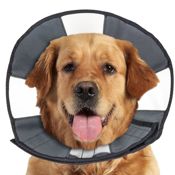 Collare protettivo lavabile, da 45,7 a 58,4 cm – Zenpet Procone XL