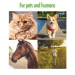Pinza rimuovi zecche con foro per portachiavi, 2 pezzi – Zenpet Tick Tornado - immagine 6