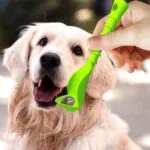 Pinza rimuovi zecche con foro per portachiavi, 2 pezzi – Zenpet Tick Tornado - immagine 2
