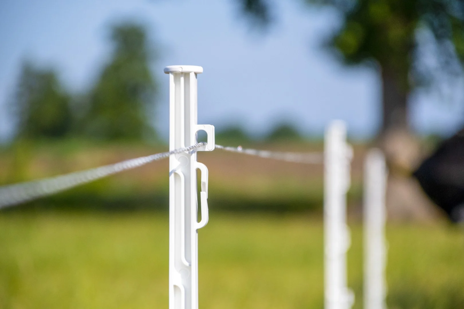 Filo per recinzione elettrica 3 mm, bianco e verde scuro, 400 m – ZoneGuard Plus - immagine 3