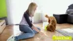 Gioco di ricompensa per cani con pallina da tennis e scomparto estraibile per crocchette – AFP Interactives Fetch'N'Treat 2nd Generation - immagine 4
