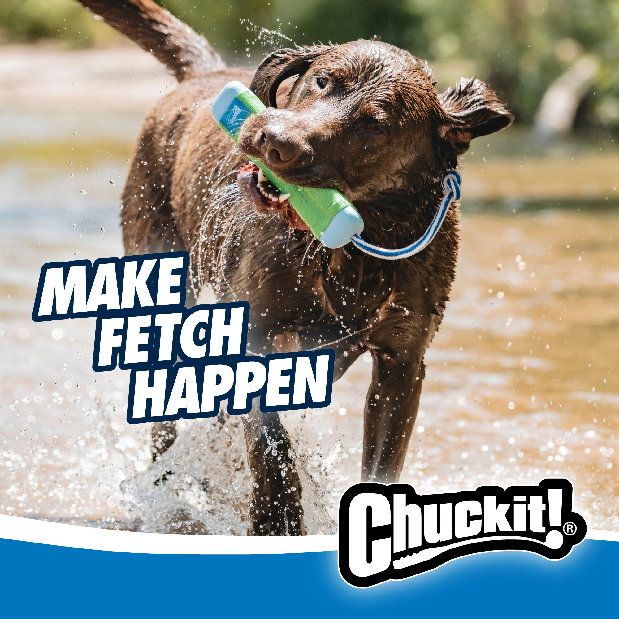 Dummy da riporto con corda, galleggiante, ø 4 cm x 18 cm – Chuckit! Amphibious Bumper S - immagine 3