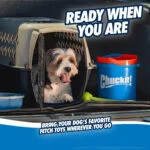 Set di palline per cani con secchio e fori di drenaggio, 8 palline M – Chuckit! Bucket - immagine 4