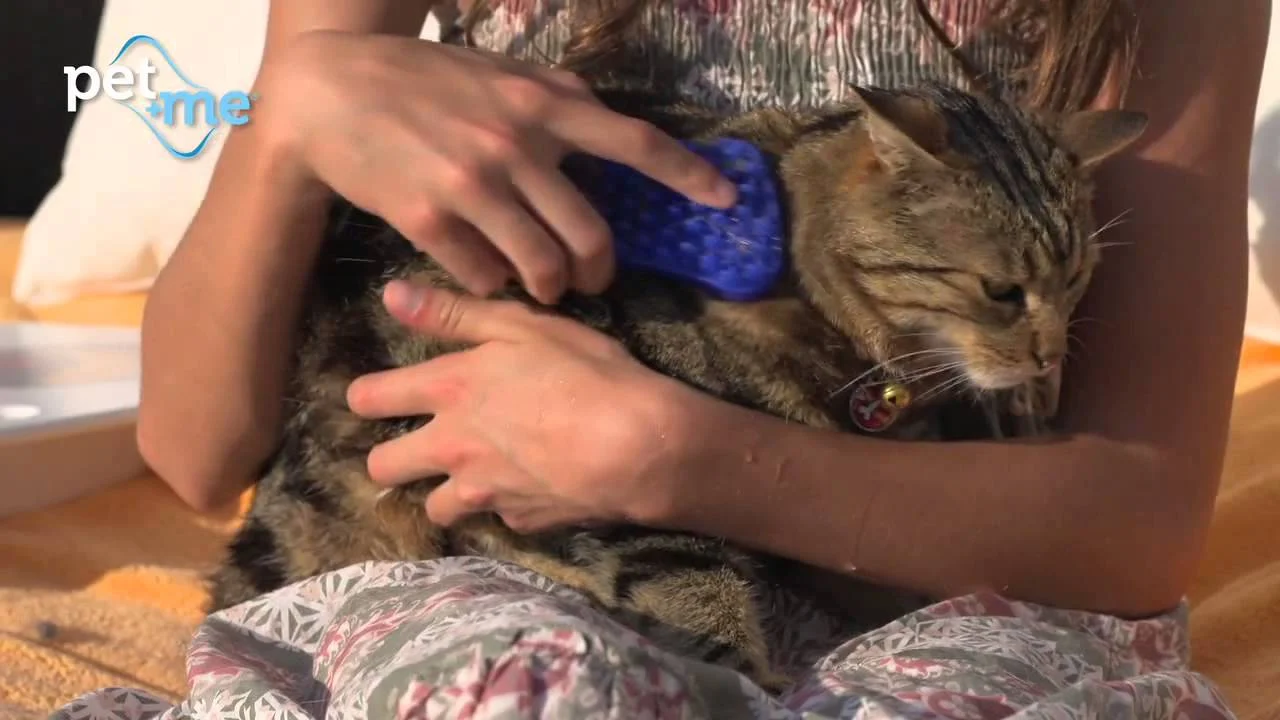 Spazzola in silicone per cani a pelo corto, gialla – Pet + Me - immagine 5