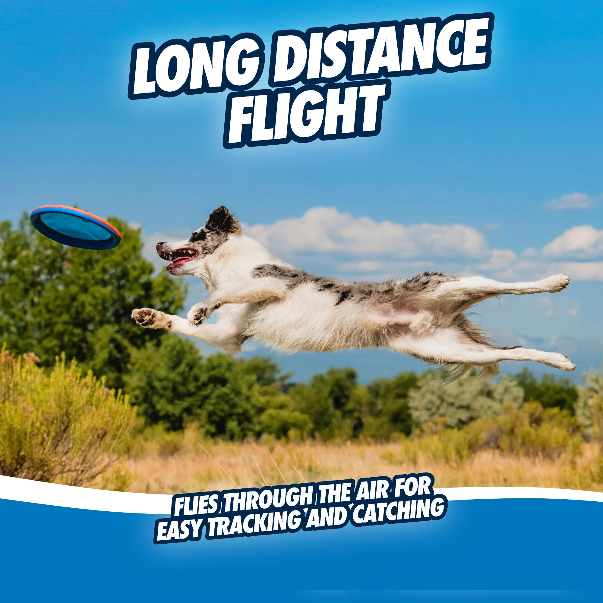 Frisbee per cani galleggiante, Ø 25 cm – Chuckit! Paraflight L - immagine 5