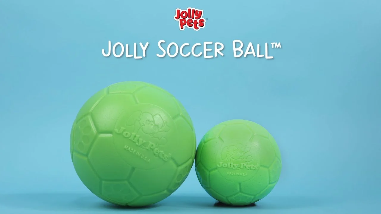 Palla da riporto per cani azzurra, 20 cm – Jolly Pets Jolly Soccer Ball - immagine 5