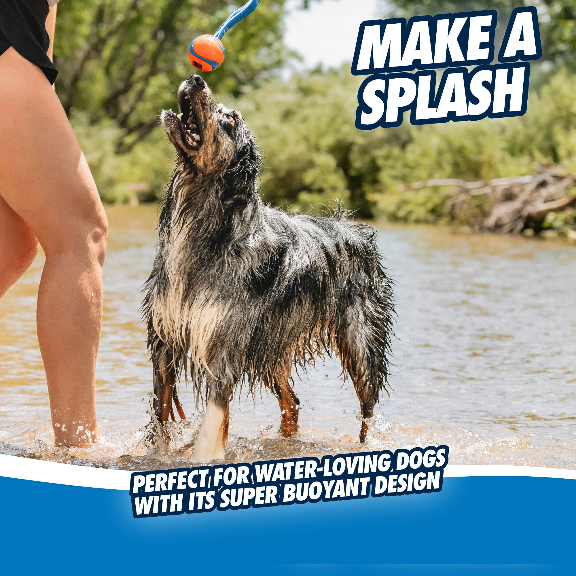 Gioco da tira e molla per cani con pallina da tennis e nastro, ø 7 cm – Chuckit! Ultra Tug L - immagine 5