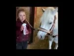 Spray districante per criniera e coda di cavalli, 250 ml – Lucky Horse Unicorn Knuffel Spray - immagine 2